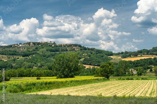 Summer landscape near Monterchi  Tuscany  Italy