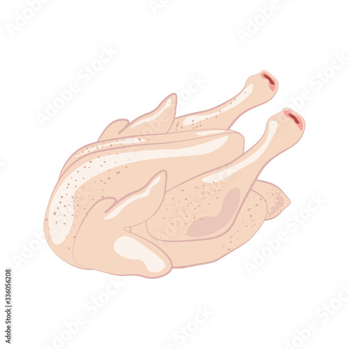 Chicken bird meat, organic poultry vector illustration