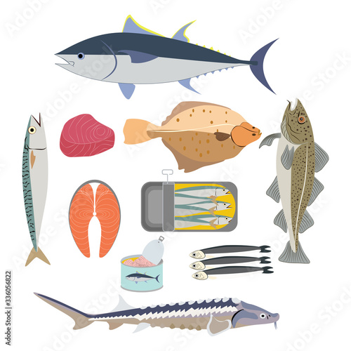 Natural marine fresh and canned fish vector illustration