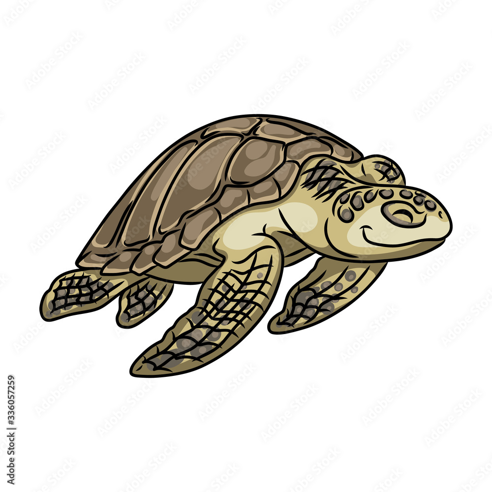 Obraz premium Turtle vector icon.Cartoon vector icon isolated on white background turtle.