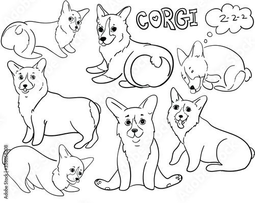 vector illustration of  cute corgi outline, Doodle style