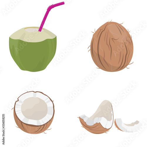 Set of coconut elements. Fruits in cartoon style isolated on white background.