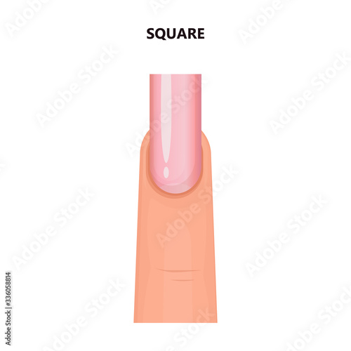 Shape nail vector icon.Cartoon vector icon isolated on white background shape nail.