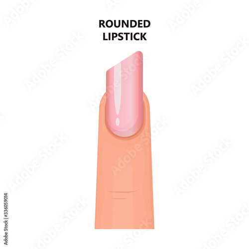 Shape nail vector icon.Cartoon vector icon isolated on white background shape nail.