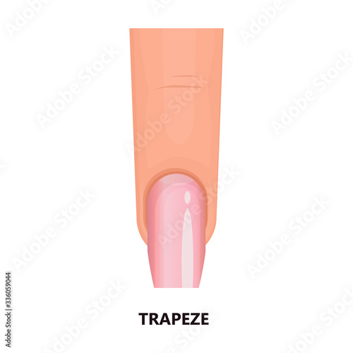 Shape nail vector icon.Cartoon vector icon isolated on white background shape nail.