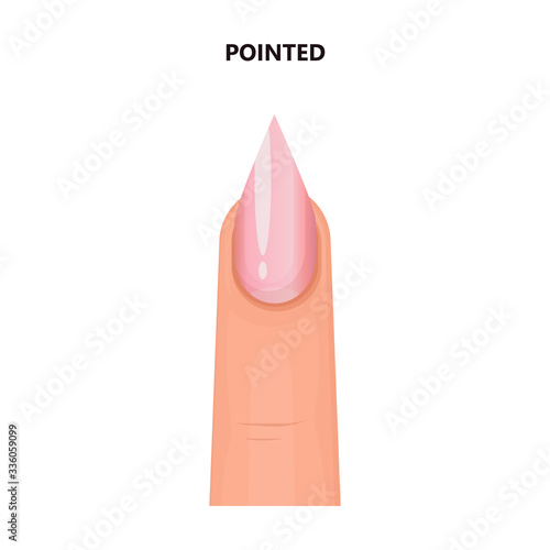 Shape nail vector icon.Cartoon vector icon isolated on white background shape nail.