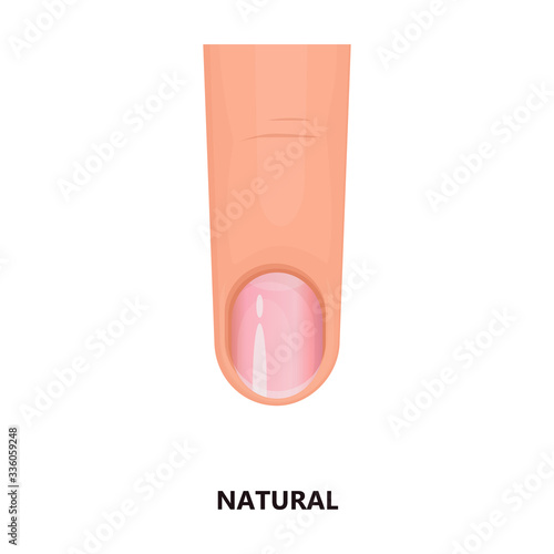 Shape nail vector icon.Cartoon vector icon isolated on white background shape nail.