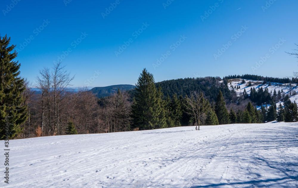 Obraz premium Meadows at the end of winter with snow and mountains in the background, beskydy czech