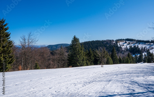 Meadows at the end of winter with snow and mountains in the background, beskydy czech © Martin