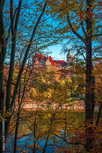 view through trees on the castle Czocha
