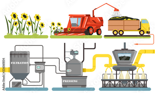 Sunflower Oil Production Process, Harvesting, Filtration, Pressing Automated Line Vector Illustration