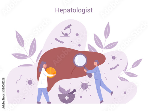 Hepatology and gastroenterology. Doctor make liver examination