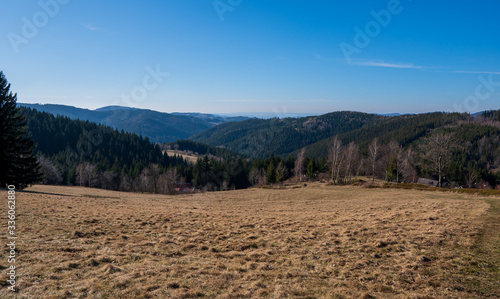 Meadow in mountains in early spring, Beskydy Mountains czech