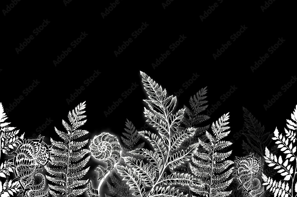 Fototapeta seamless pattern of field herbs and flowers, medicinal plants , botany drawn by hand on a black background, chalk Board, illustrations for printing, poppy and Thistle flowers, dill and chamomile.