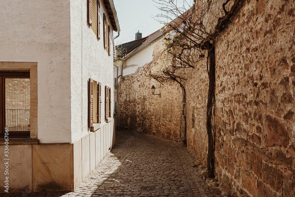 Narrow cobbled street in an old German town