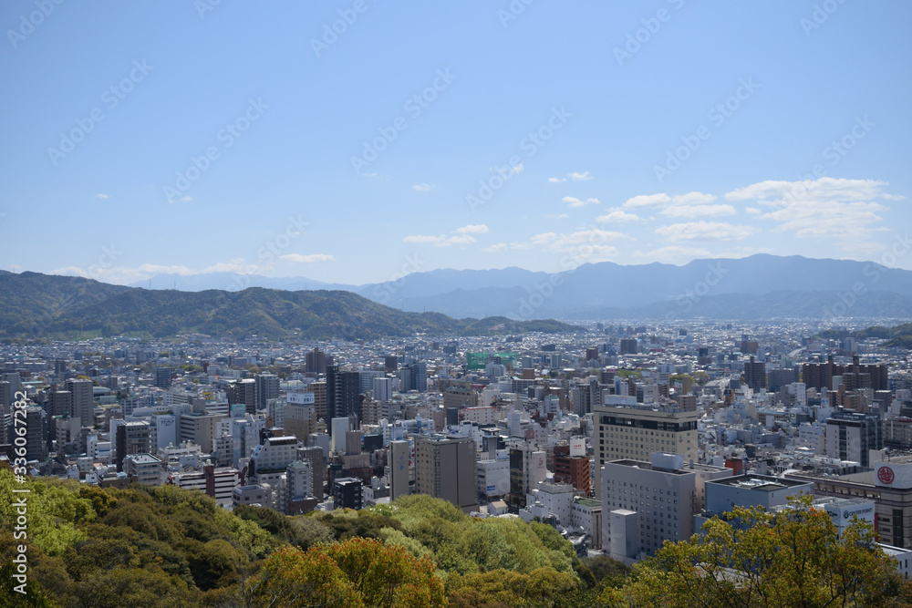 Obraz premium 松山城 桜