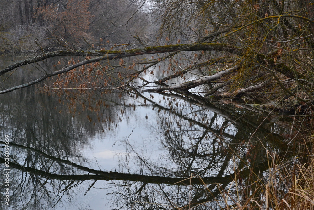 Beautiful autumn landscape in the evening. A tree leaned over the river. Reflection in water. A dreary autumn landscape by the river. Deep autumn. A moody calm landscape. Beautiful autumn landscape in the evening. A tree leaned over the river. Reflection in water. A dreary autumn landscape by the river. Deep autumn. A moody calm landscape.