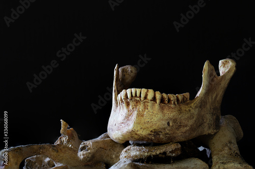 Jaw put on pile of old bone on which has dark background