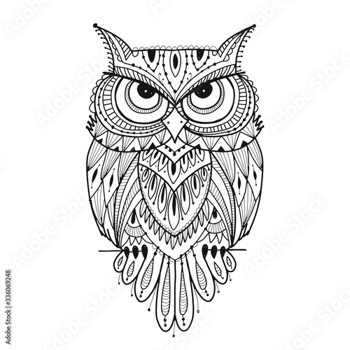 Ornate owl, coloring page for your design