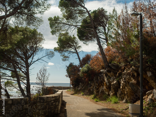 beautiful walking road in the Petrovac national park 