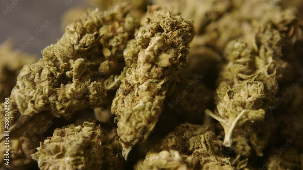 Row of dried Cannabis buds with a pull focus camera technique. Close-Up Row of dried Cannabis buds with a pull focus camera technique. Close-Up