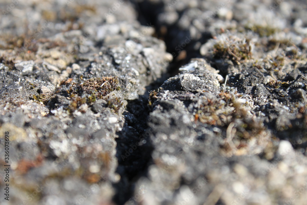 Asphalt Riss Asphalt Riss