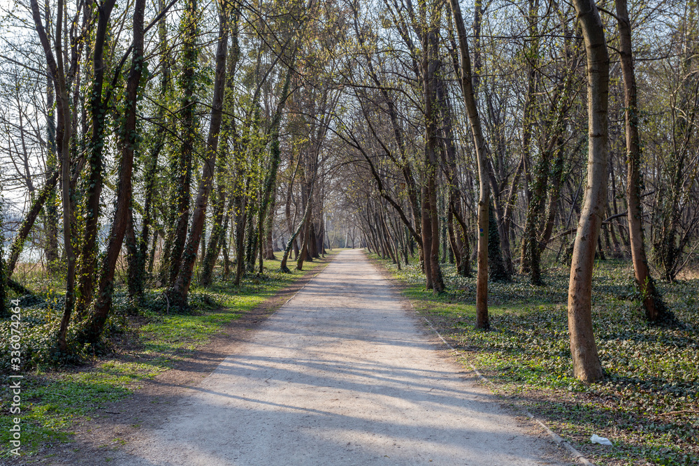 Walking path in the english garden of Tata, Hungary