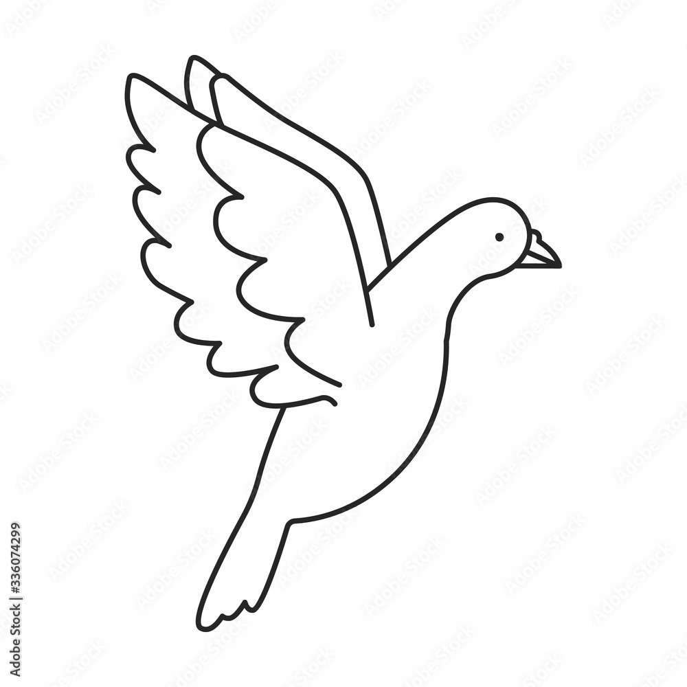 Pigeon vector icon.Outline vector icon isolated on white background pigeon. Pigeon vector icon.Outline vector icon isolated on white background pigeon.