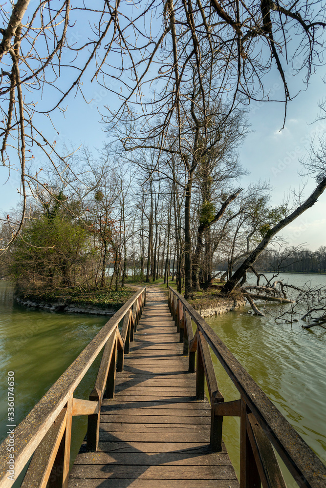 The Cseke lake in Tata, Hungary. The Cseke lake in Tata, Hungary.