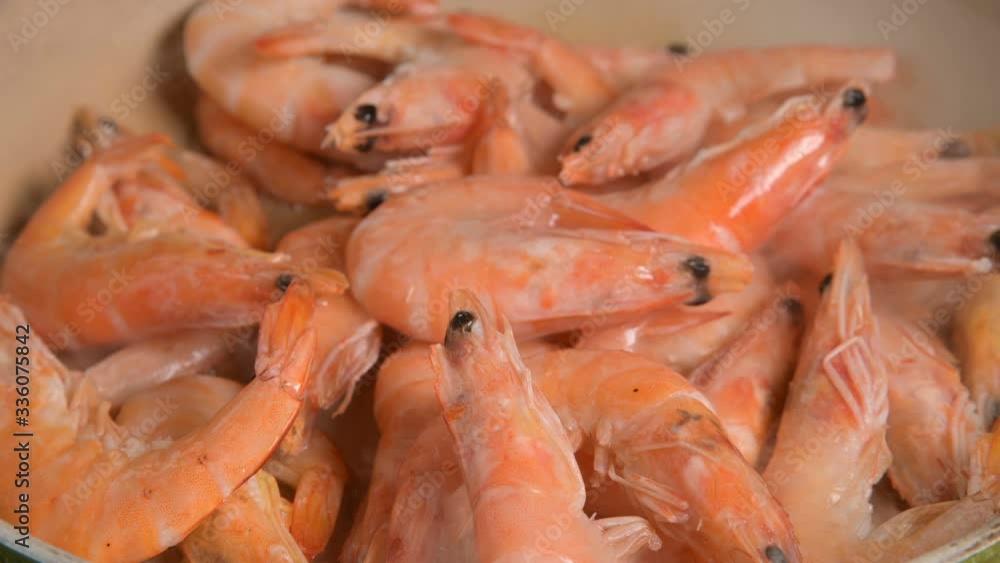 Large king tiger prawns are thawed in a pan. Close-up. Preparatory phase before cooking. Boiled Frozen Seafood Large king tiger prawns are thawed in a pan. Close-up. Preparatory phase before cooking. Boiled Frozen Seafood