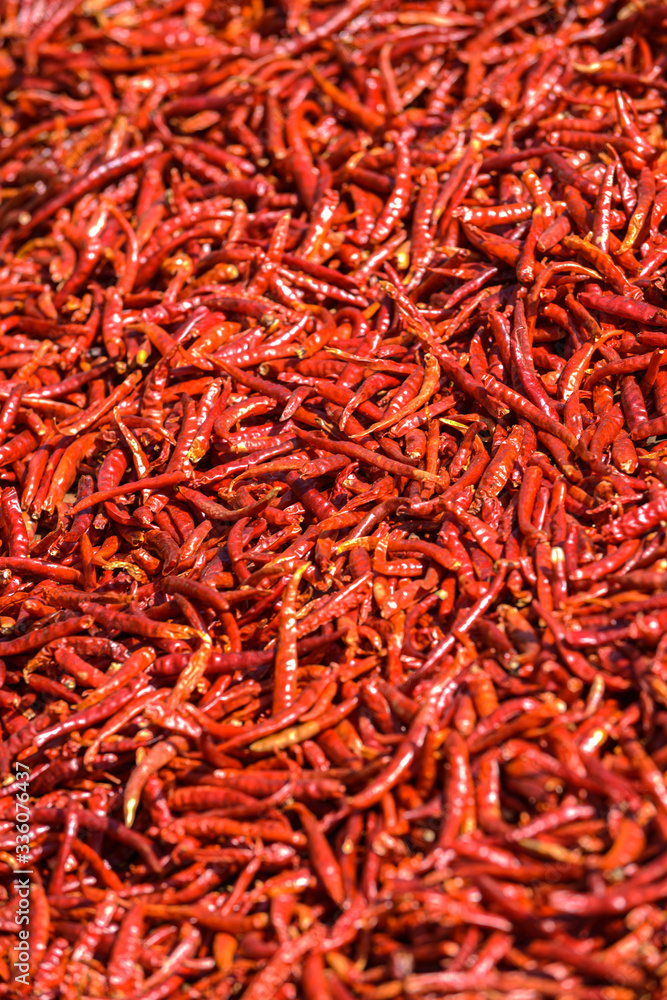 Sun dried red chile background