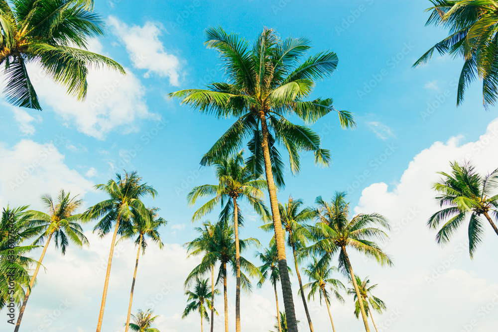 Tropical palm tree with sun light on blue sky. Summer vacation and nature travel adventure concept. Coconut palm trees .