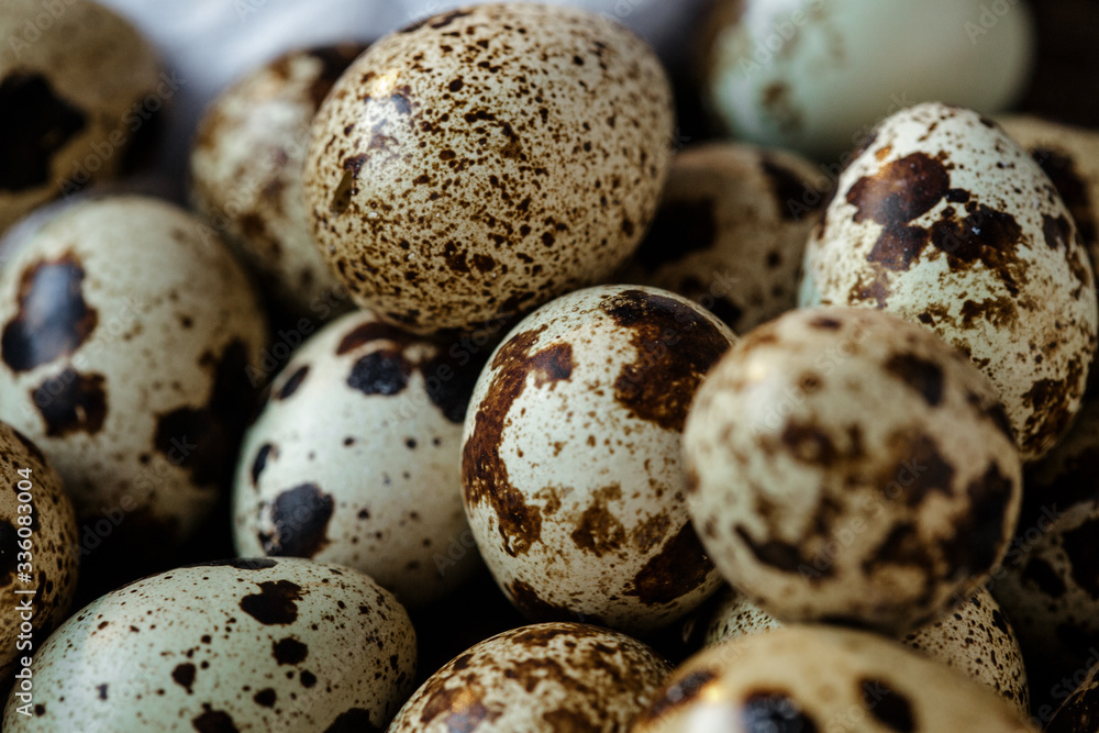 Quail eggs on wooden background. Symbol of the Easter season. Healthy Eating Quail eggs on wooden background. Symbol of the Easter season. Healthy Eating
