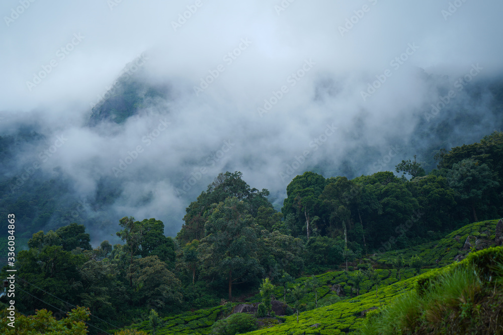 fog in the mountains fog in the mountains