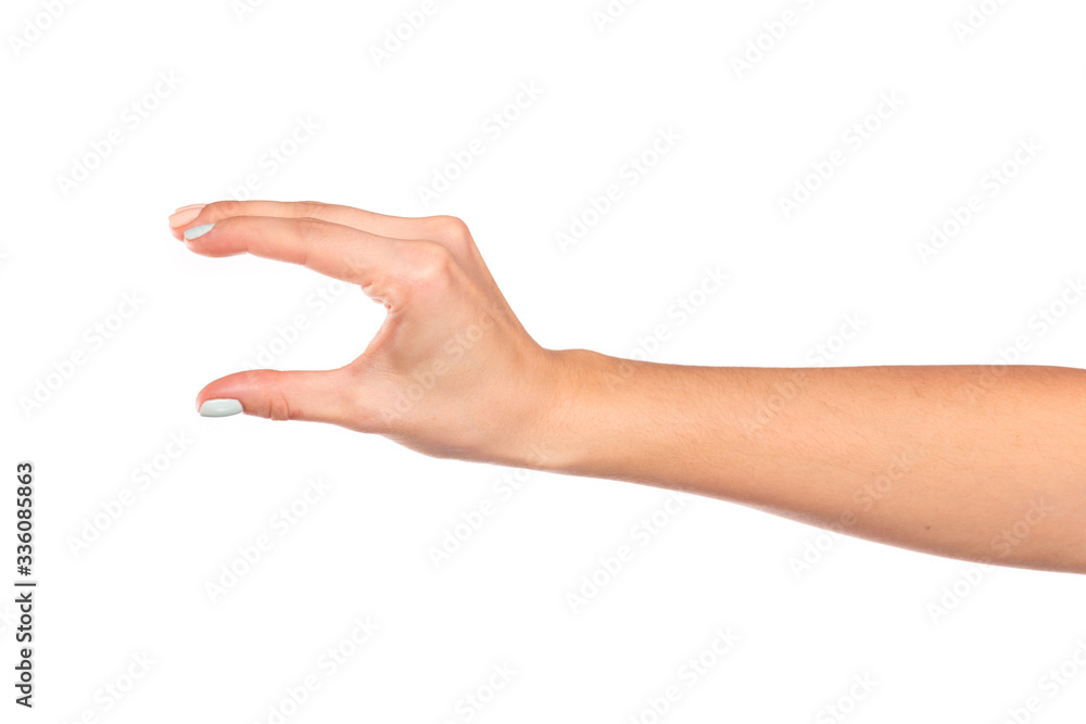 female hand isolated on white background showing hand gestures - Image female hand isolated on white background showing hand gestures - Image