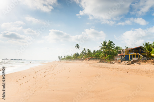 Empty tropical sunny beach with coconut palm trees