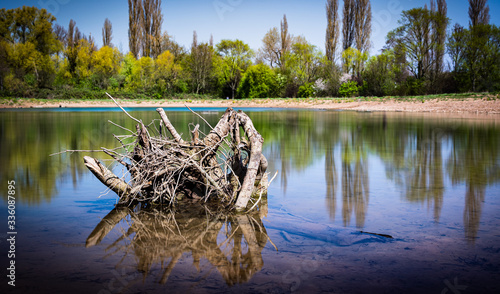 Baumstumpf mit Wurzeln im See 