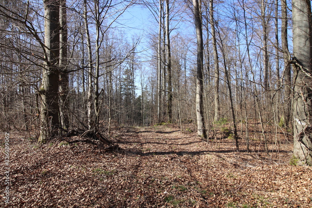 Landschaften aus Oberfranken im Fühling Landschaften aus Oberfranken im Fühling