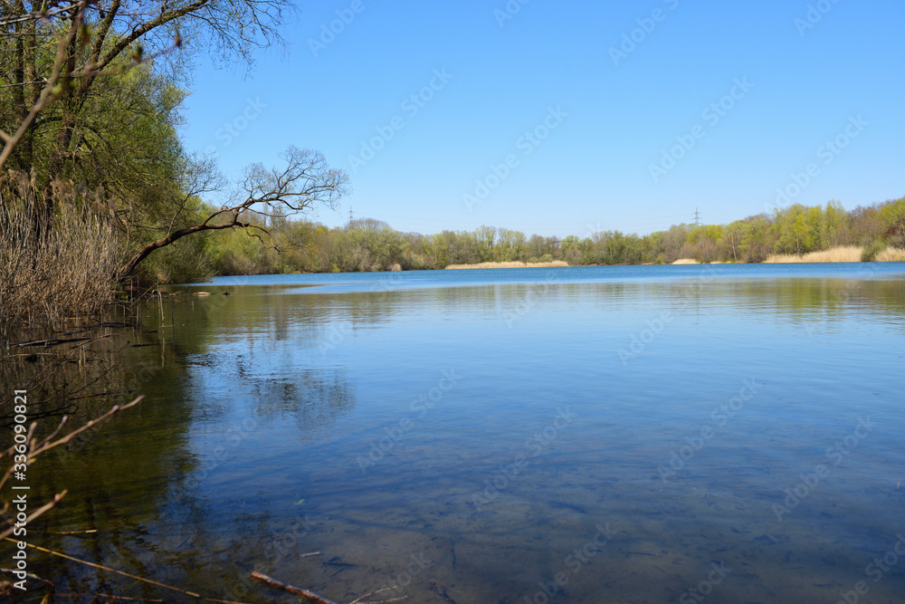 frühling am see in neuss, nrw, deutschland frühling am see in neuss, nrw, deutschland