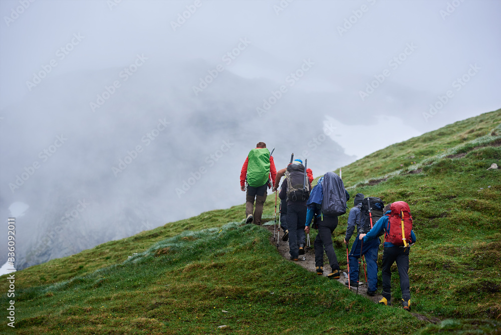 Obraz premium Back view of hikers carrying backpacks and climbing the hill with green grass. Group of people with trekking sticks walking on hillside path and heading to foggy mountain. Concept of hiking, alpinism.