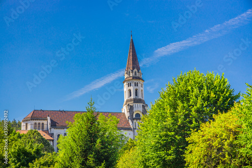 Fototapeta Naklejka Na Ścianę i Meble -  Basilique de la Visitation, a Catholic church in Annecy France