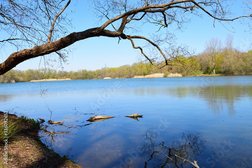 frühling am see in neuss, nrw, deutschland