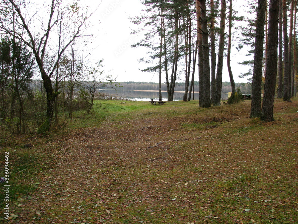 Fototapeta premium Nature