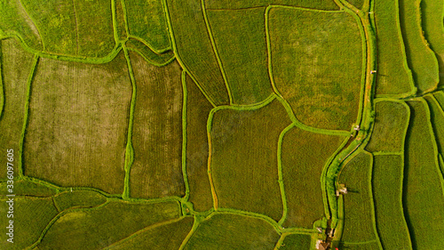 Top view of Terrace rice fields. Bali Indonesia.