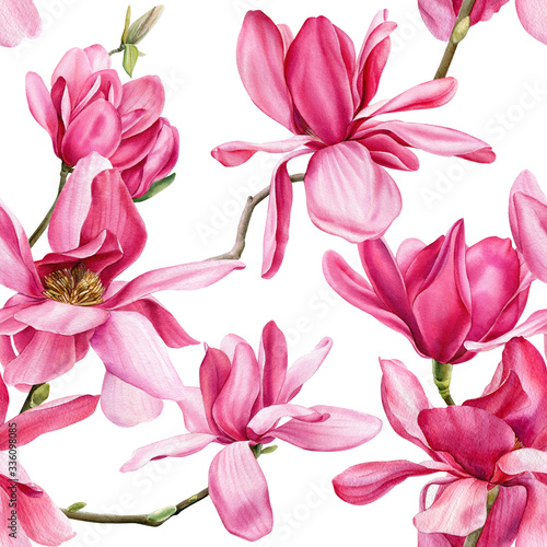 seamless pattern of pink magnolia on an isolated white background  watercolor flowers
