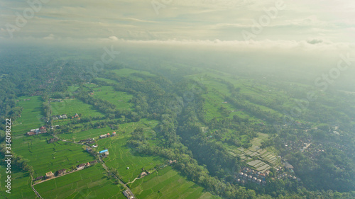 Beautiful view of the rice terraces in Bali