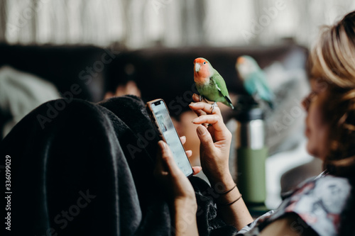 Woman liviing with Lovebird on hand with smart phone in livingroom. photo