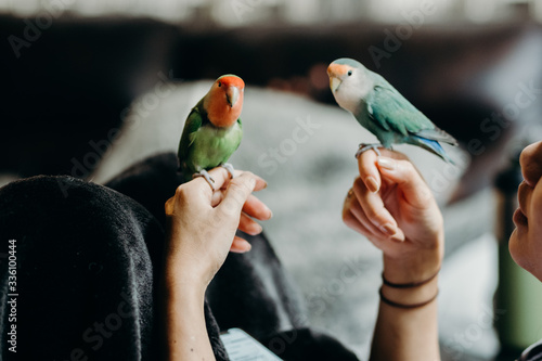 Woman liviing with Lovebird on hand with in livingroom. photo