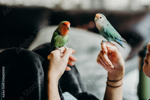 Foto Woman liviing with Lovebird on hand with in livingroom.