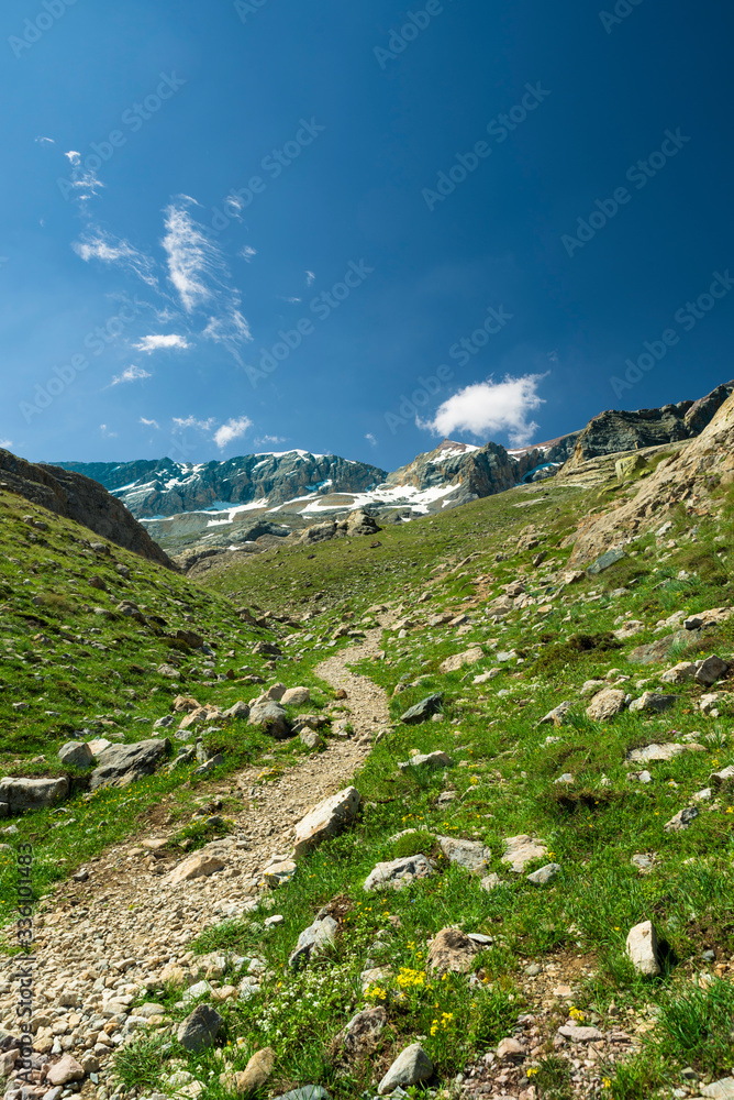 Road in the Mountains